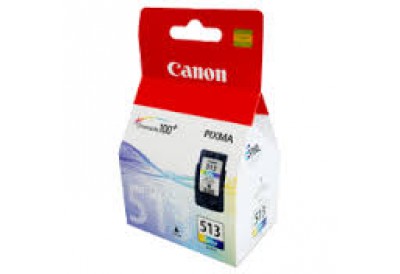 Canon Ink Cartridge Color CL-513 INK High Capacity MP240